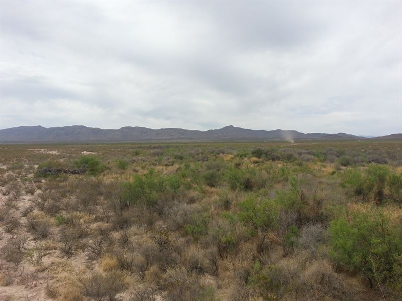 160 Acres Rec, Property, $395/Ac : Fabens : Hudspeth County : Texas
