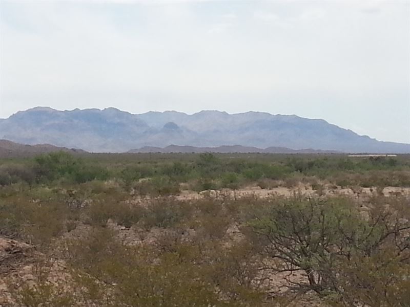 20 Acre Foreclosure Only $148/Mo : Fabens : Hudspeth County : Texas
