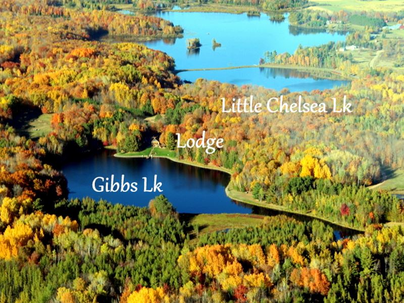 Northwoods Masterpiece 141019 : Medford : Taylor County : Wisconsin