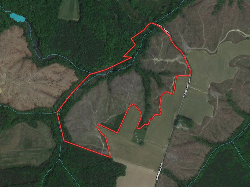 93.794 Acres of Hunting, Recreation : Heathsville : Northumberland County : Virginia