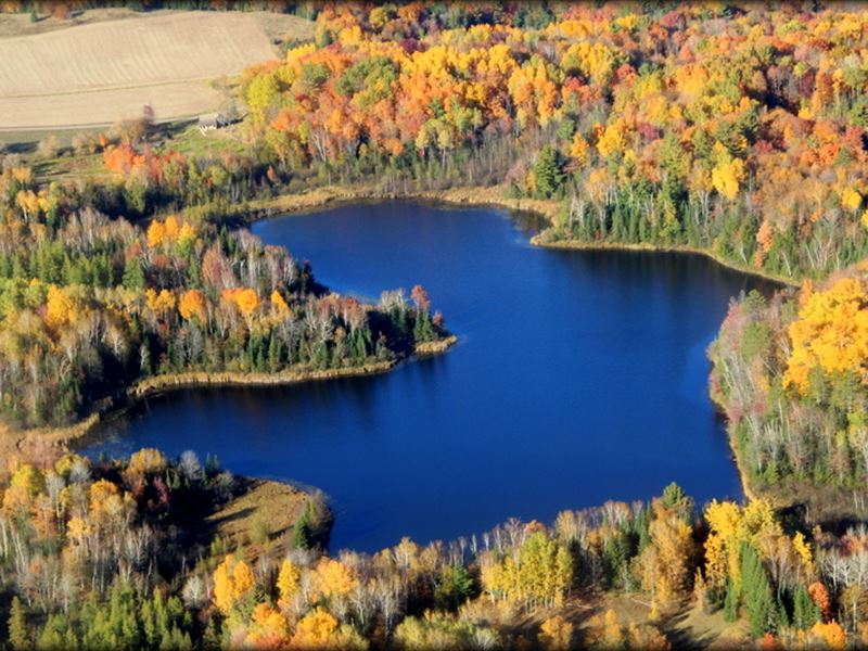 Bullhead Lake Beauty 168365 : Medford : Taylor County : Wisconsin