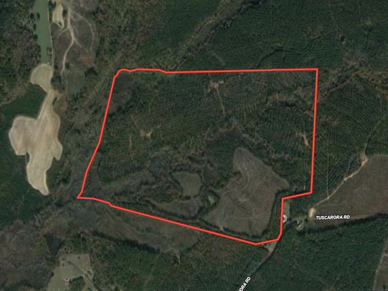 290 Acres of Timb : Hollister : Warren County : North Carolina