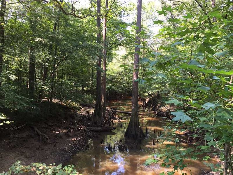 Cypress Bayou Tract, Jackson Paris : Quitman : Jackson Parish : Louisiana
