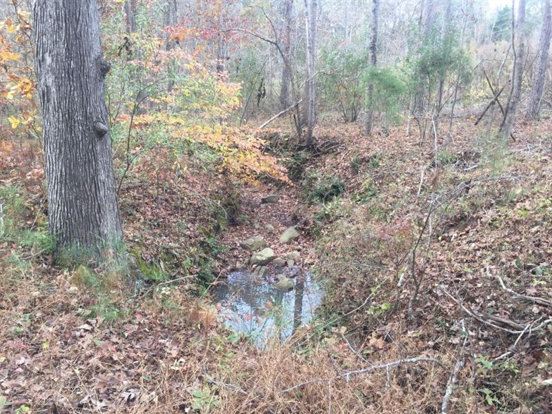 104.15 Acres in Chester, SC : Chester : Chester County : South Carolina