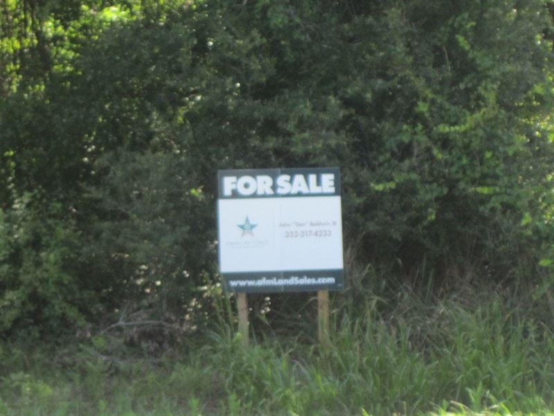 14A-3 North Lochloosa : Hawthorne : Alachua County : Florida