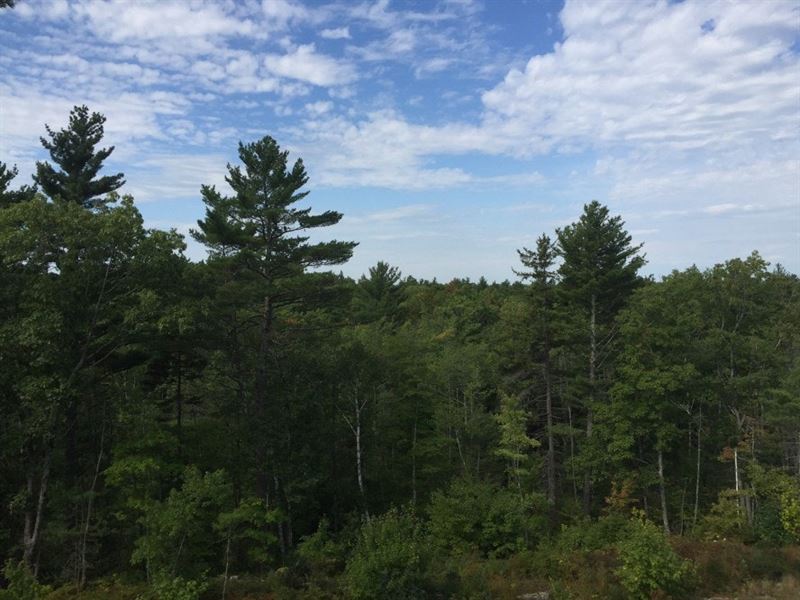 Albis Tract : Woolwich : Sagadahoc County : Maine