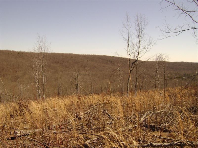 County Line Rd : Dunlap : Sequatchie County : Tennessee