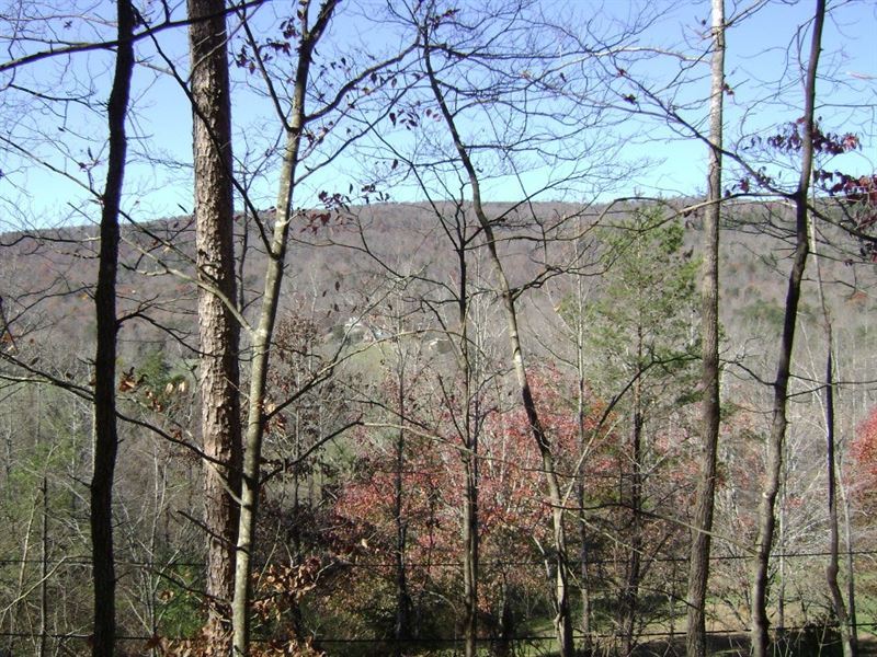 Wyatt Rhea 38 Acres : Dayton : Rhea County : Tennessee