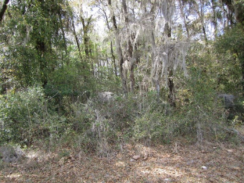 Parcel 85 Gilchrist Land Company : Bell : Gilchrist County : Florida