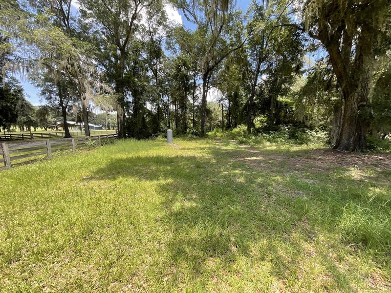 .86 Acre Lot with Well, Septic : Madison : Madison County : Florida