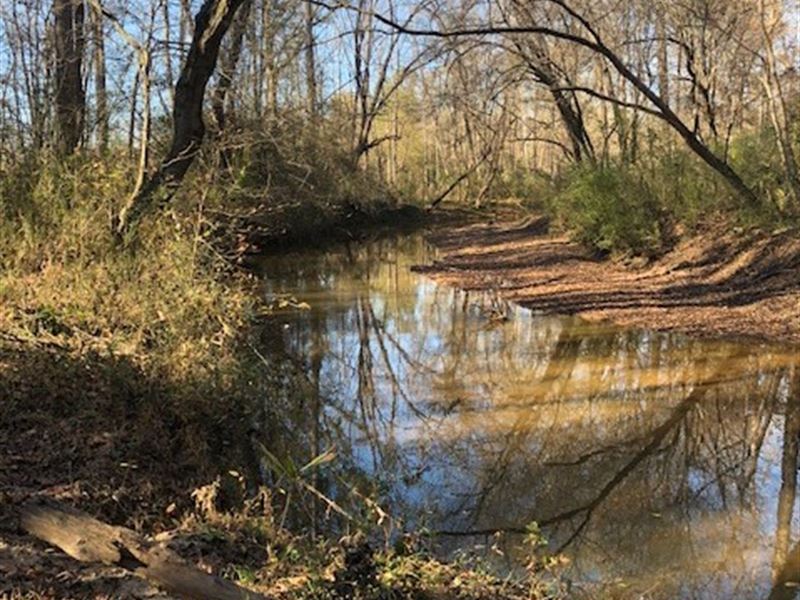 Choestoea Creek Farm : Westminster : Oconee County : South Carolina