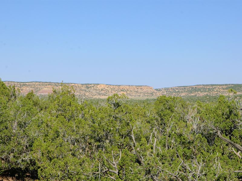 36 Acres Bordering State Trust Land : Saint Johns : Apache County : Arizona