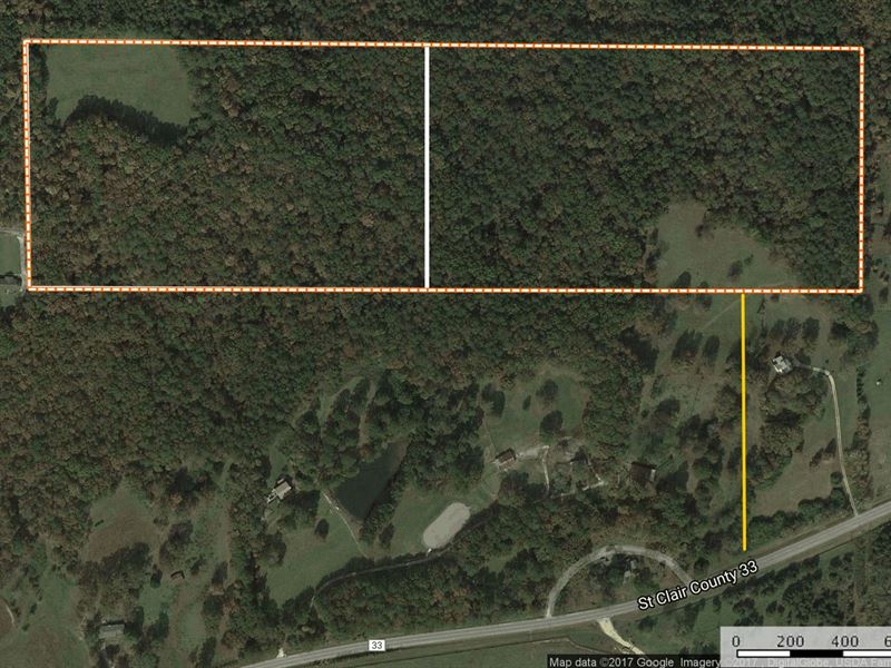 45+/- Private Wooded / Pasture : Ashville : Saint Clair County : Alabama