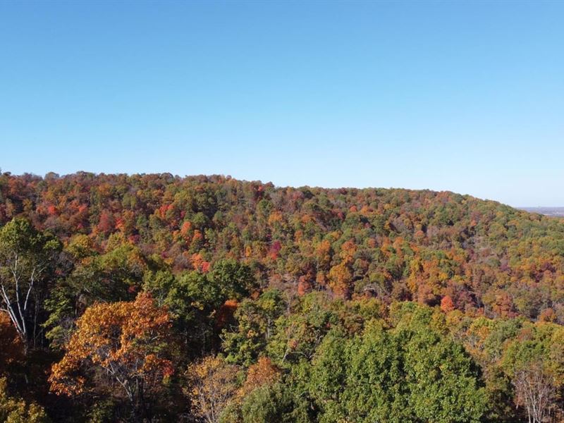 Boone County 65 : Omaha : Boone County : Arkansas