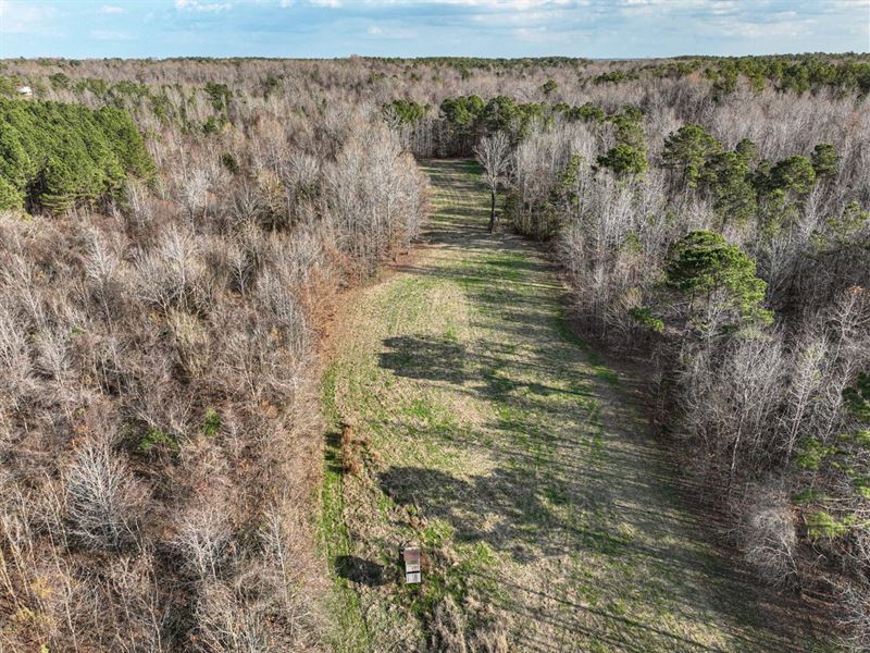 740 Acres Ebenezer, Ms-Southern Hol : Ebenezer : Holmes County : Mississippi