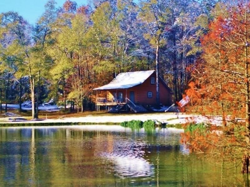 Secluded Cabin for Sale Pond Fishin, Ranch for Sale in Mississippi