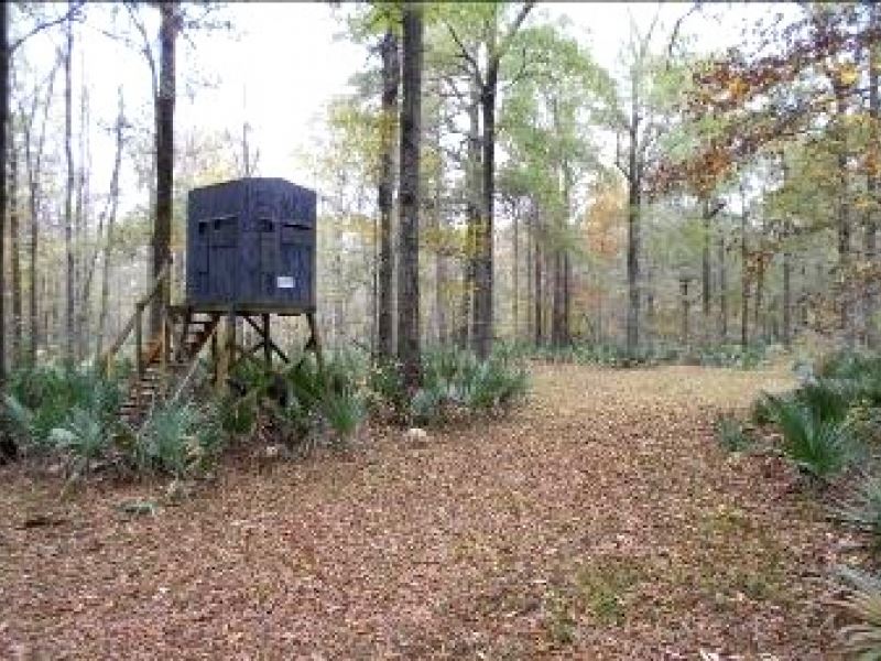 808.71 Acres in Sunflower County, Ranch for Sale in Mississippi