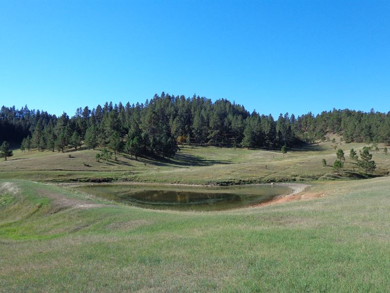 Buck Creek Pasture Ranch for Sale in Hulett, Crook County, Wyoming 140522 RANCHFLIP