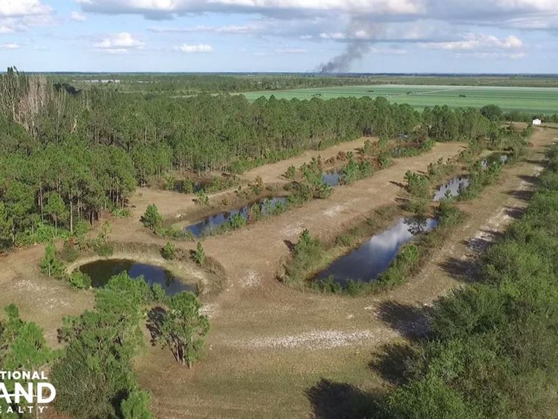 Fish Farm Homesite Babcock Ranch Po : Punta Gorda : Charlotte County : Florida