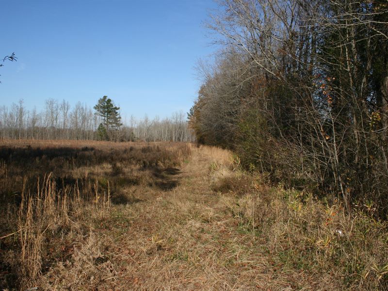 64.09 Acres in Enfield, NC : Enfield : Halifax County : North Carolina