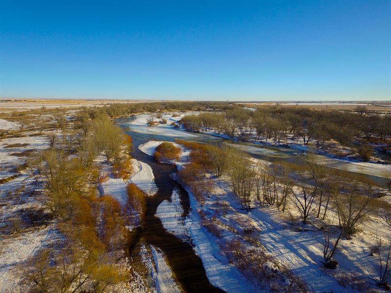 Sedgwick Waterfowl Mecca : Ovid : Sedgwick County : Colorado