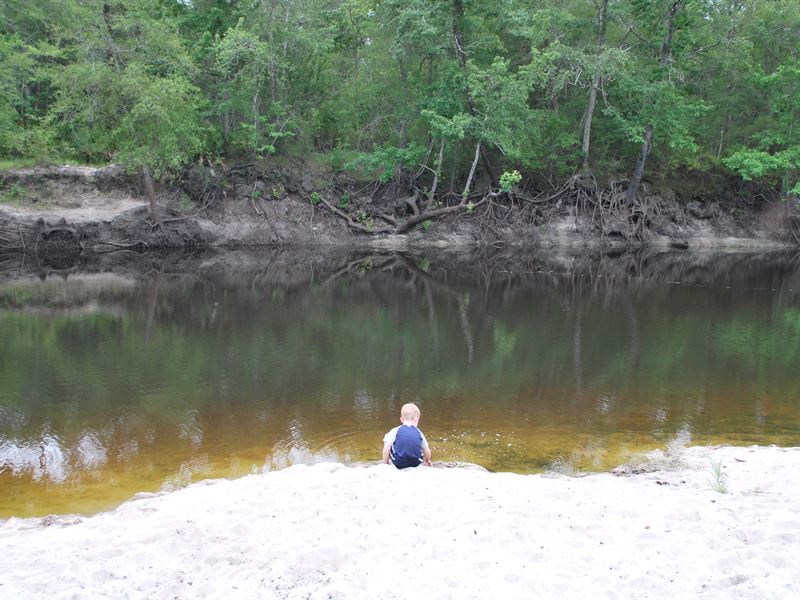 Riverfront Outdoorsman's Paradise : Blackshear : Pierce County : Georgia