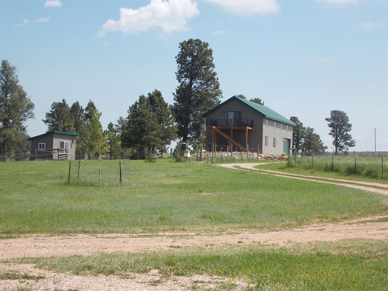Horse Lovers Dream Property : Sundance : Crook County : Wyoming