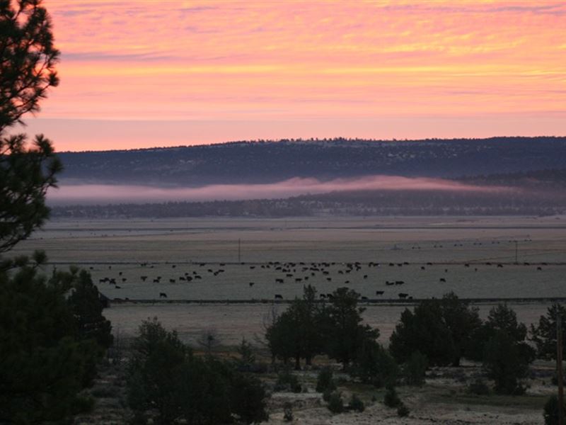 Langell Valley Homestead Ranch : Bonanza : Klamath County : Oregon