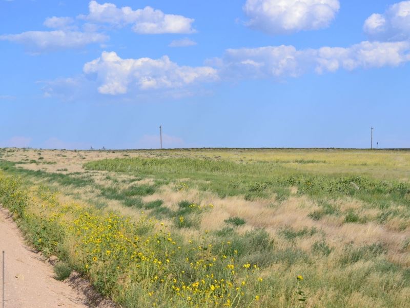 Weld County Crp Ranch for Sale in Briggsdale, Weld County, Colorado