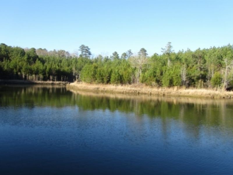 95 Acres in Choctaw County : Ackerman : Choctaw County : Mississippi