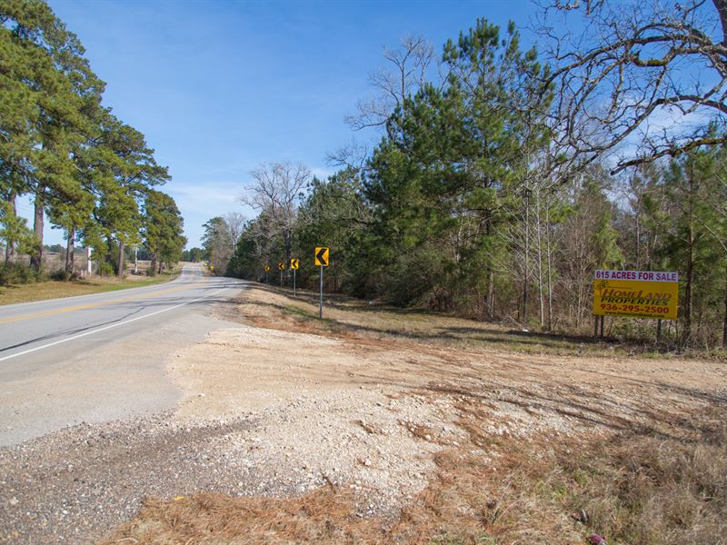 615 Ac State Hwy 150, New Waverly : New Waverly : Walker County : Texas