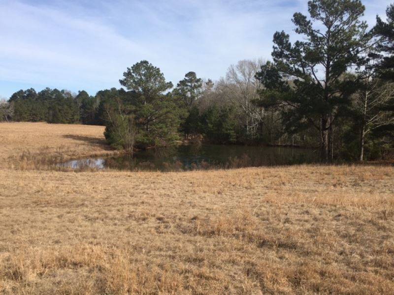 165 Acres and Camp Franklin Co : Smithdale : Franklin County : Mississippi