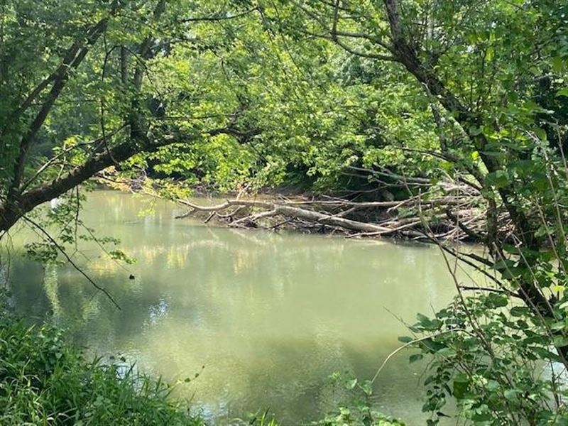 82.97 Acres Bordering The Sequatc : Whitwell : Marion County : Tennessee