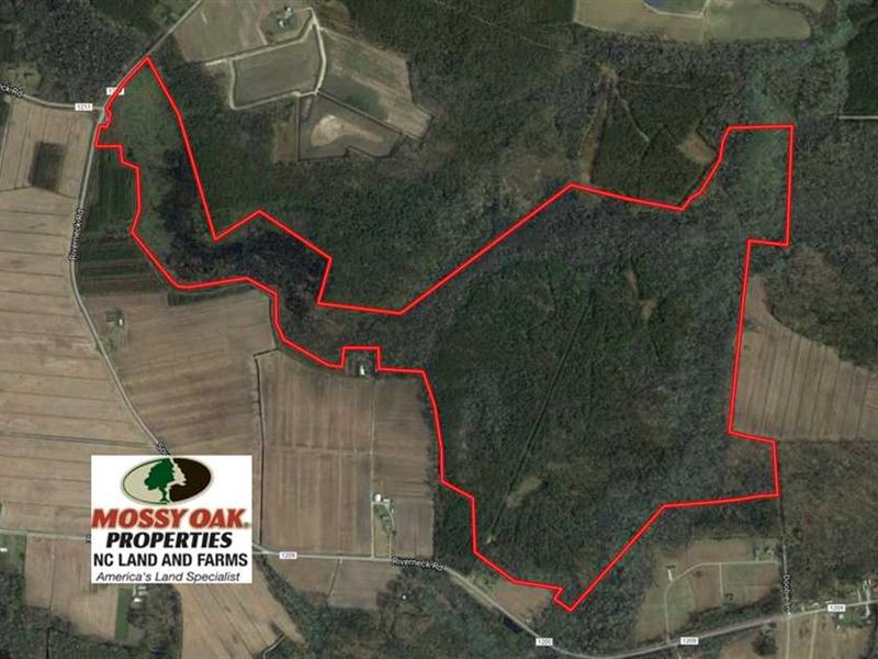 Under Contract, 289 Acres of Hunt : Columbia : Tyrrell County : North Carolina