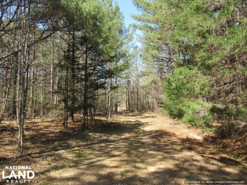 184 Acres in Attala County : Kosciusko : Attala County : Mississippi