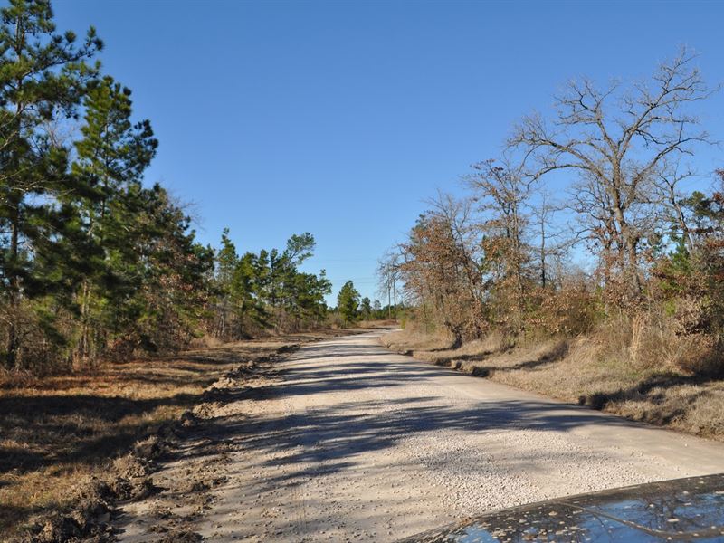 153 Ac Hopewell Road : Bedias : Walker County : Texas