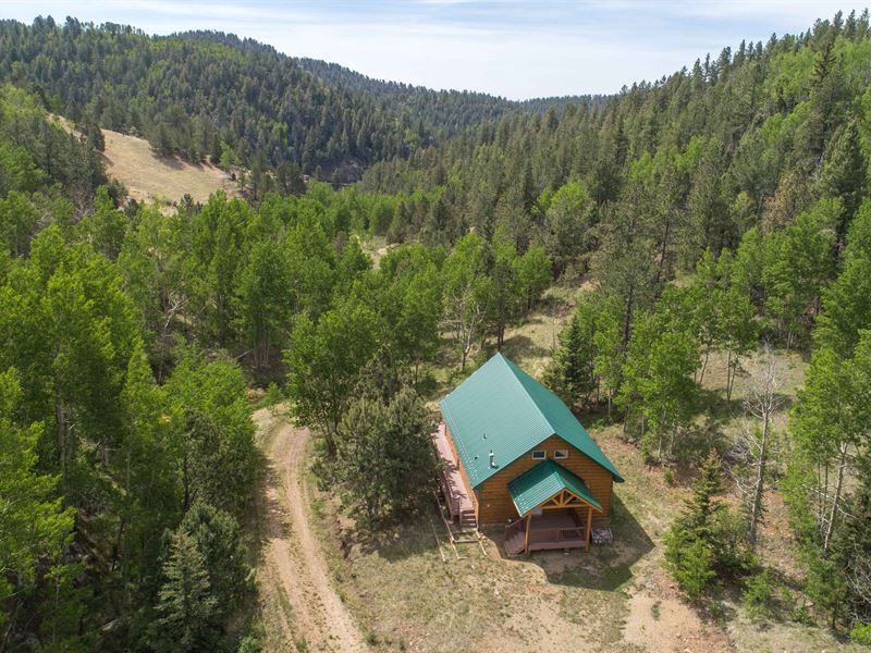 Colorado High Country Cabin : Victor : Fremont County : Colorado