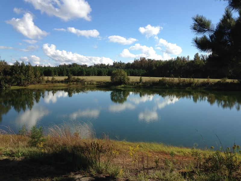 Beautiful Mini Farm with 3 Ponds : Stapleton : Glascock County : Georgia