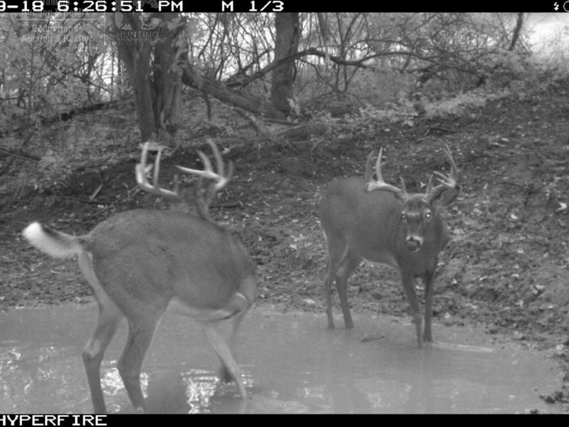 World Class Hunting Property : Pulaski : Iowa County : Wisconsin