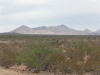 20 Ac Rolling Terrain, $0 Down : Salt Flat : Hudspeth County : Texas