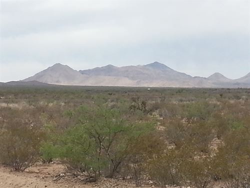 20 Acs RV Ready Only $198/Mo : Salt Flat : Hudspeth County : Texas