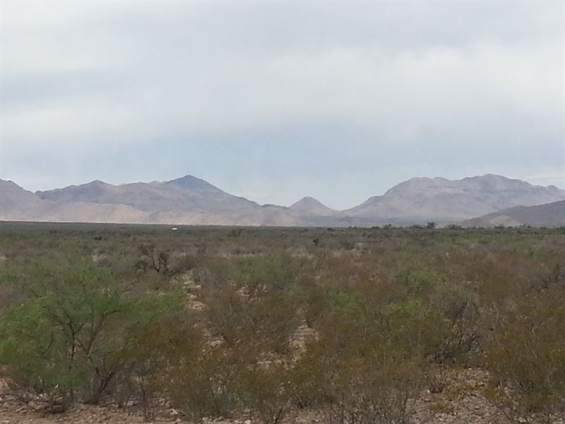 20 Acres with Electric On Paved Hwy : Sierra Blanca : Hudspeth County : Texas