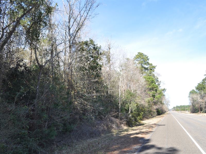 785 Ac Sh 326 Big Thicket : Kountze : Hardin County : Texas