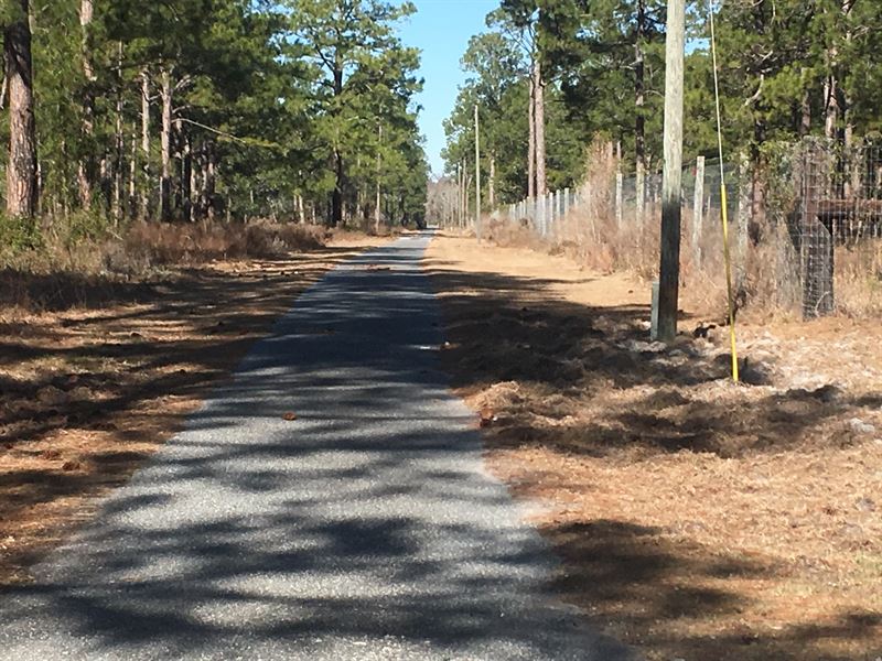 480 Acre High Fenced Hunting : Perry : Taylor County : Florida