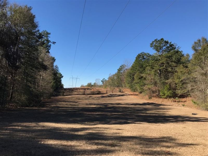 Mariah Springs Hunting Lodge : Heidelberg : Clarke County : Mississippi
