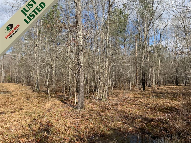 86 Aces Located in Aberdeen MS : Aberdeen : Monroe County : Mississippi