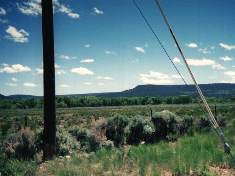 Majestic Land in Colorado Mountains : Antonito : Conejos County : Colorado