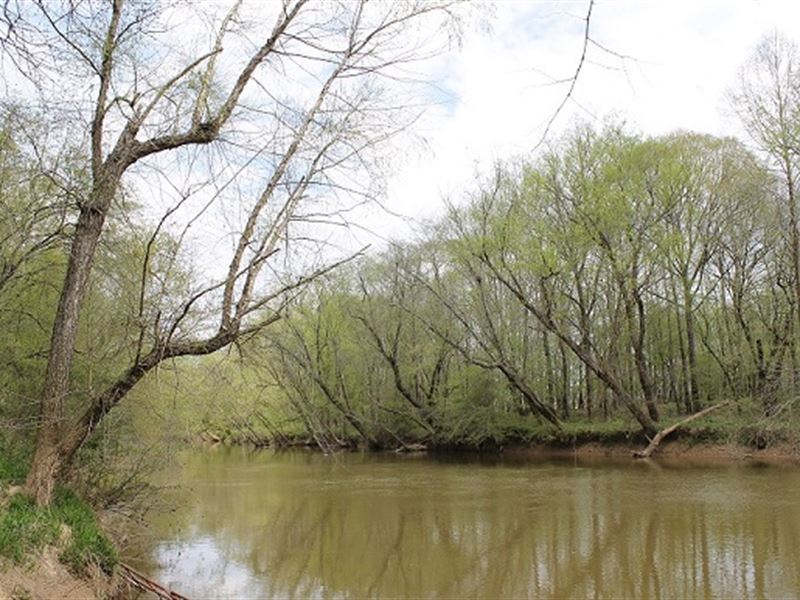 Tallapoosa River Frontage 254+/- Ac : Heflin : Cleburne County : Alabama