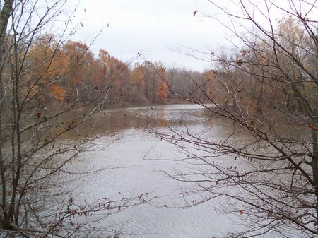 Mud River Cattle Ranch & Hunting : Browder : Muhlenberg County : Kentucky