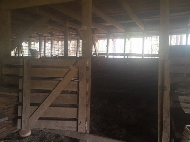 265 Acres in Crenshaw Co. Alabama : Brantley : Crenshaw County : Alabama